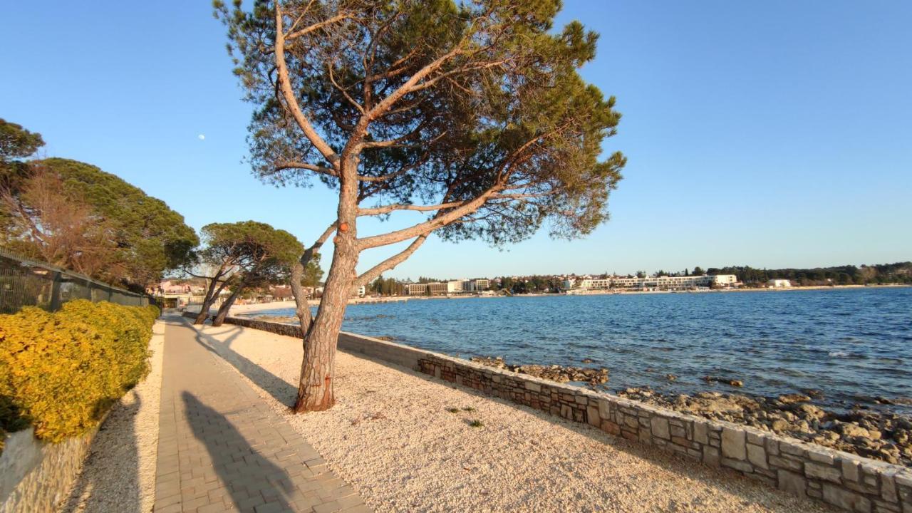 Apartments Marla Poreč Exteriér fotografie